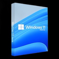 Brand New Microsoft Windows 11 Home Lifetime License Key - My Store